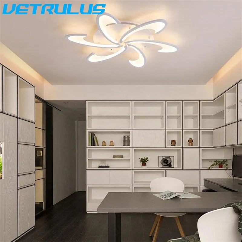 Modern Acrylic Led Ceiling Lamp