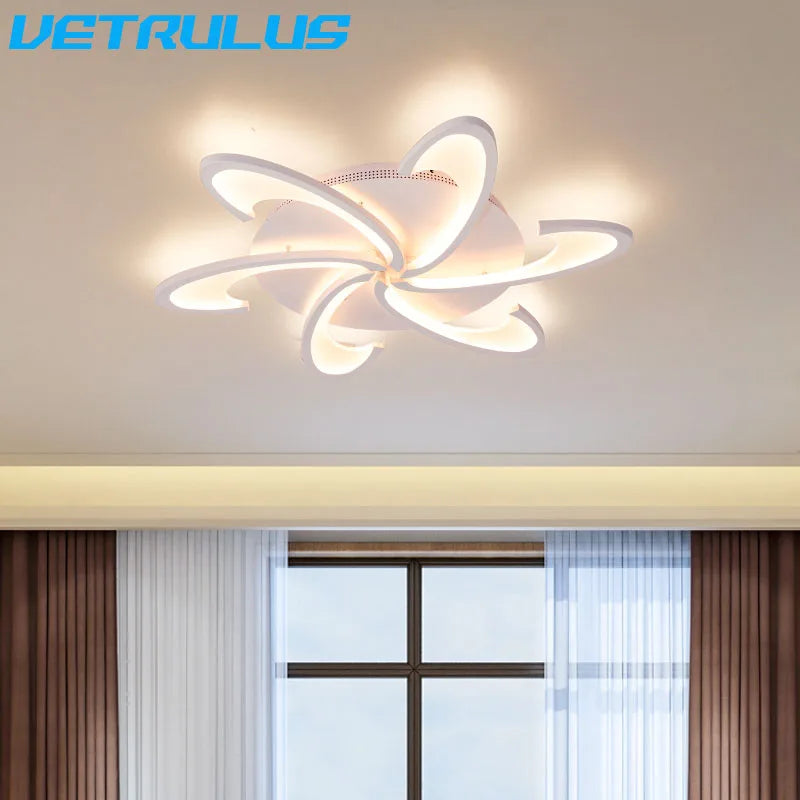 Modern Acrylic Led Ceiling Lamp