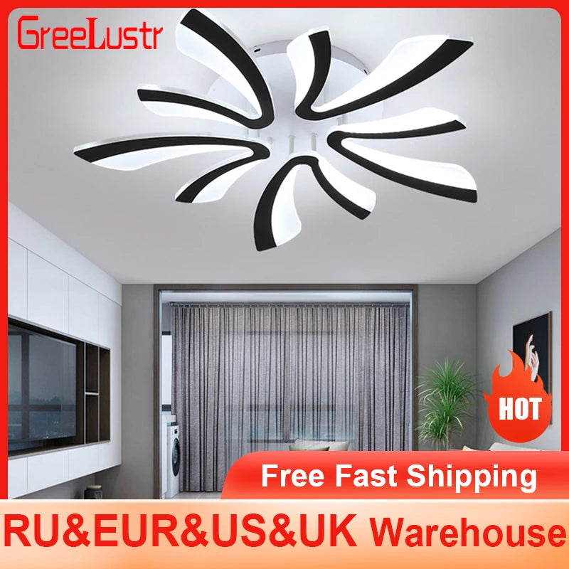 Modern Led Acrylic Ceiling Light Fixture