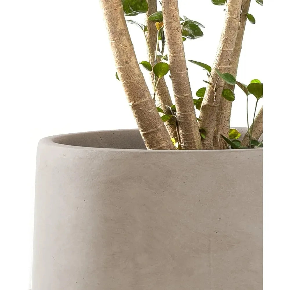 Round Concrete Planters