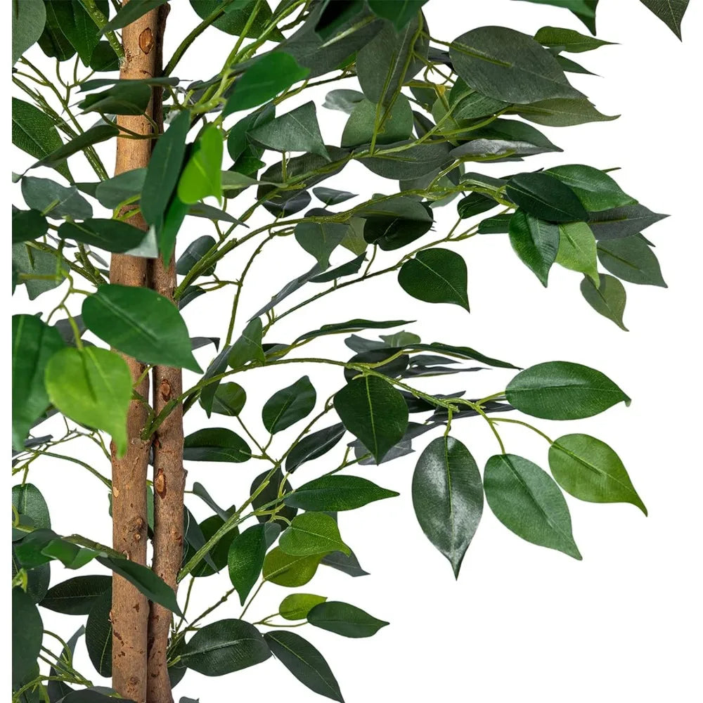 2Pack Artificial Ficus Trees