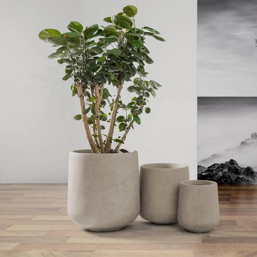 Round Concrete Planters