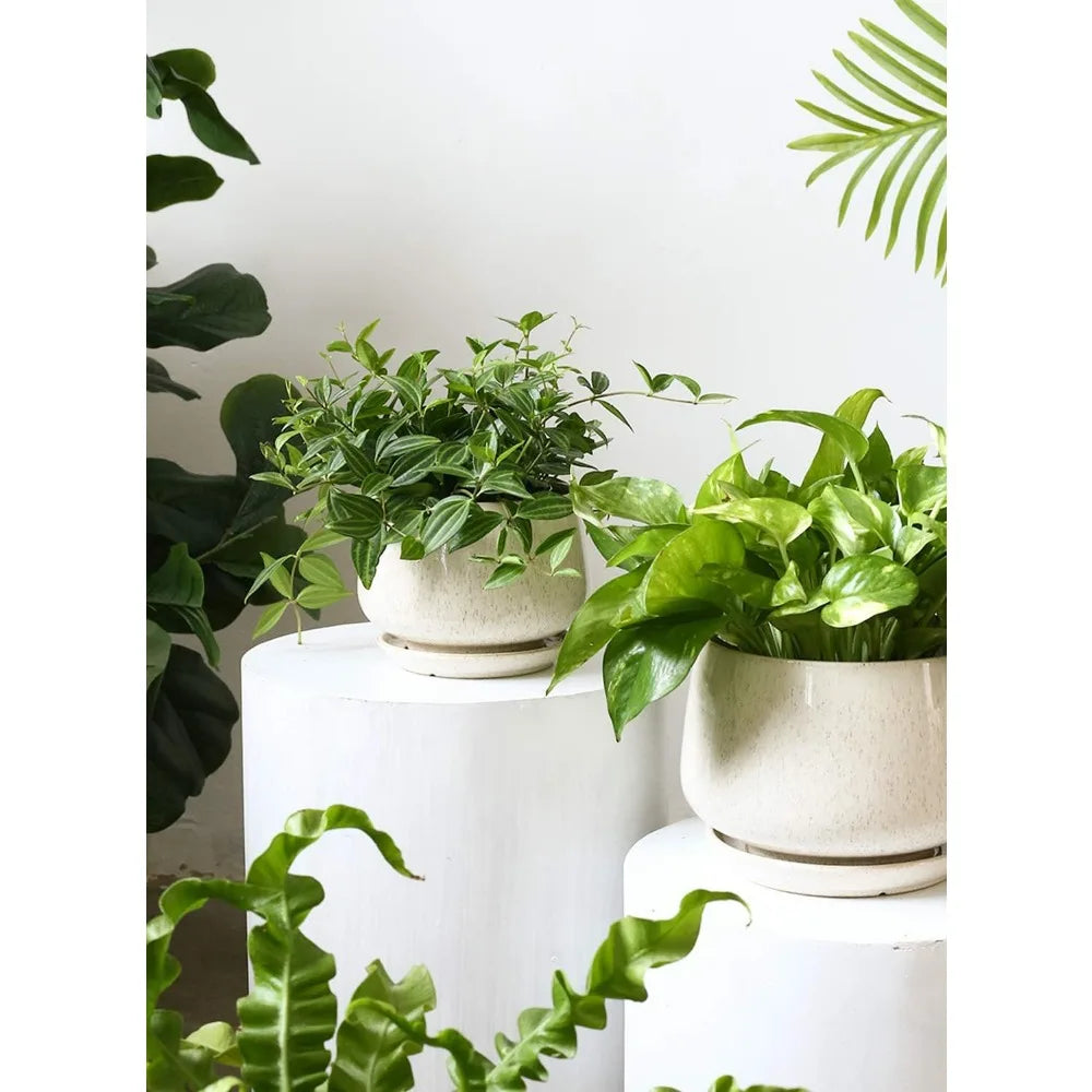 Ceramic  Indoor Flower Pots