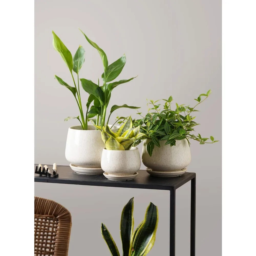 Ceramic  Indoor Flower Pots